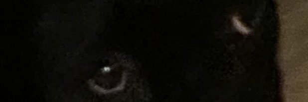 CryptoGioGio's profile banner image