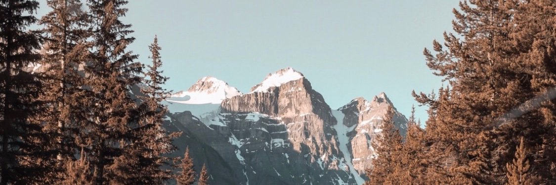 taylor rella banner