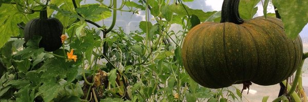 BandstandBeds Profile Banner