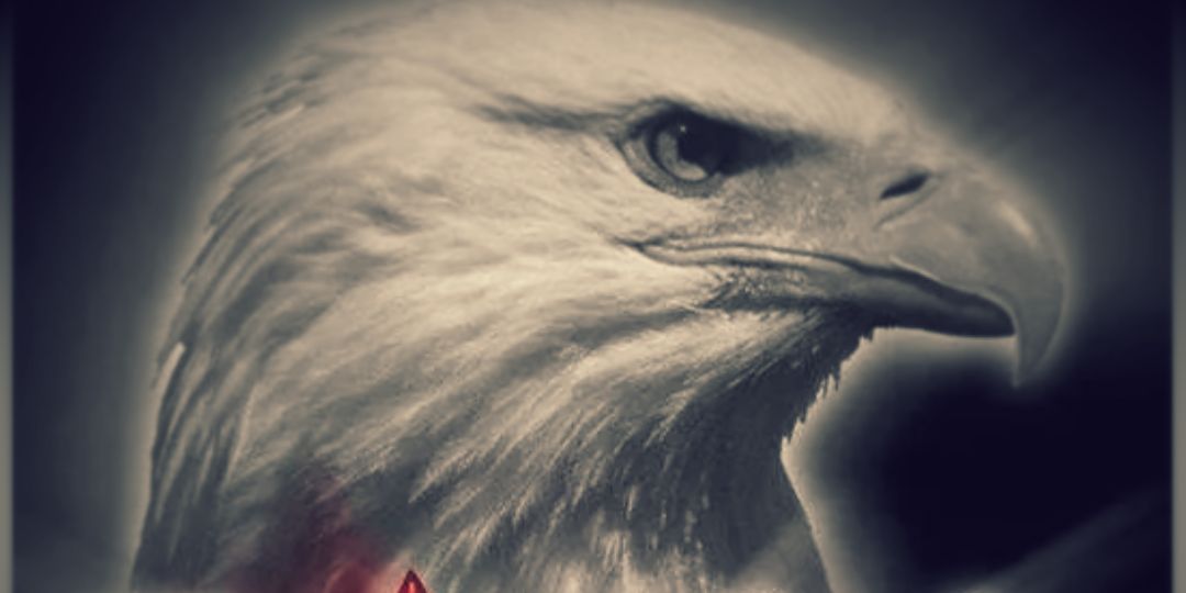 armandoganay's profile banner image