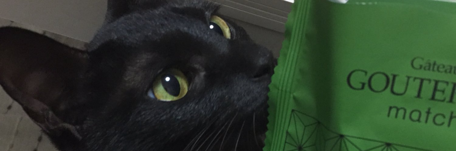 babababanchooo's profile banner image