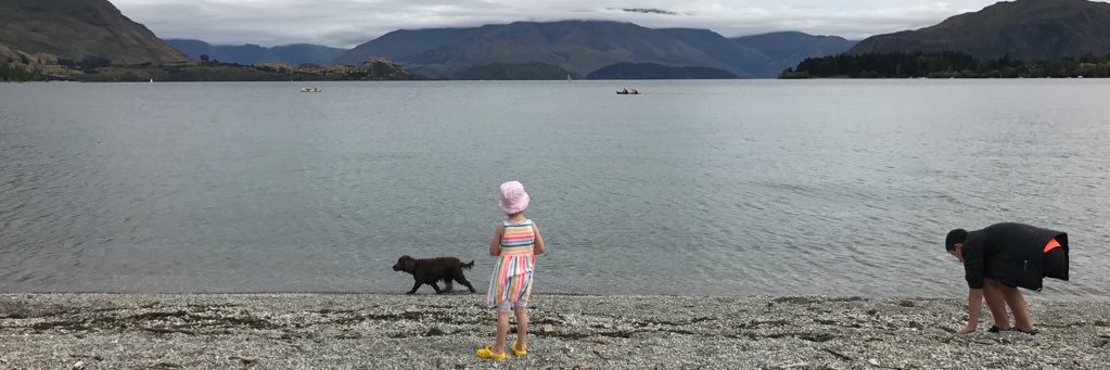 nztanner's profile banner image