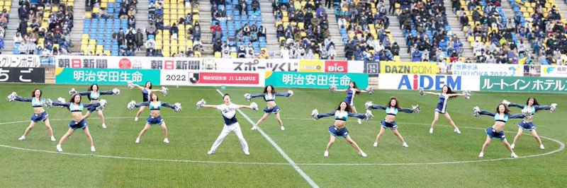 RFC- official banner