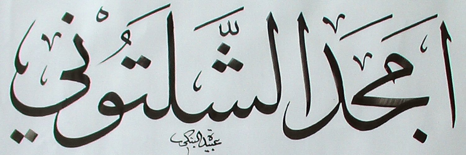 shaltoni's profile banner image