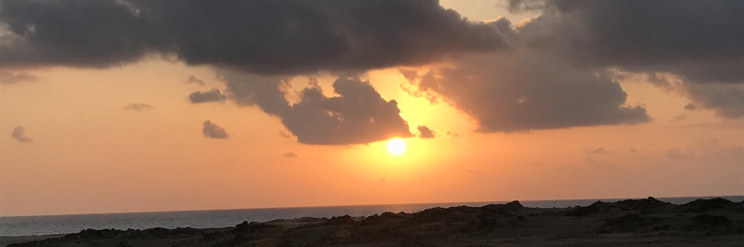 alkatema2's profile banner image