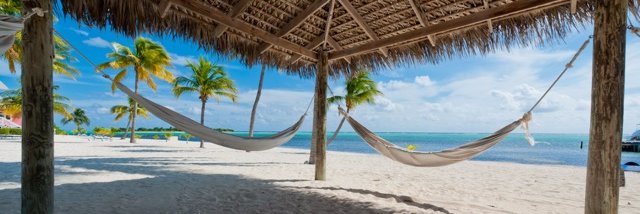 Sunny Jim Music banner