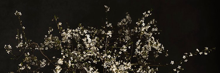 emonkhorst's profile banner image