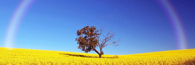 tzhuar's profile banner image
