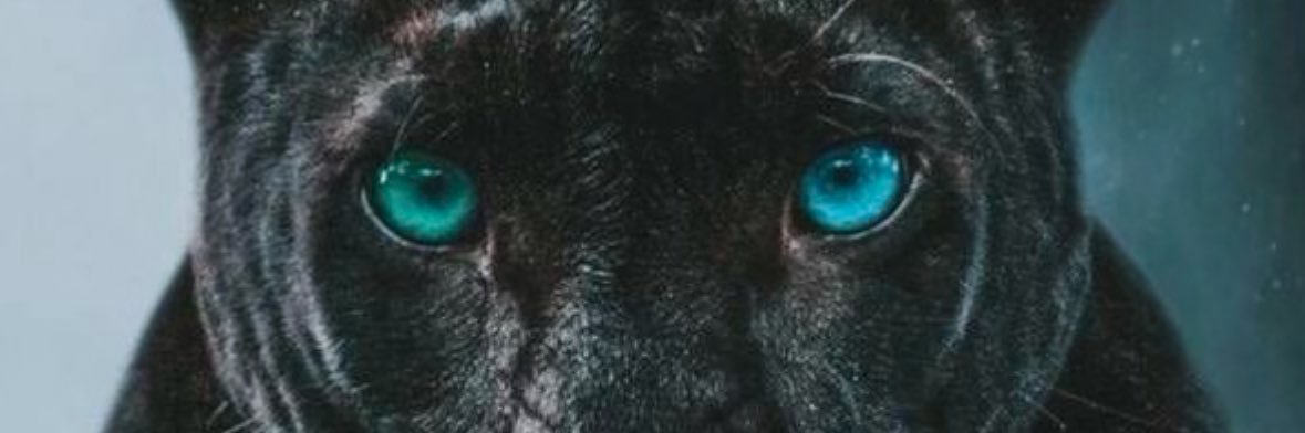 bgratanta's profile banner image