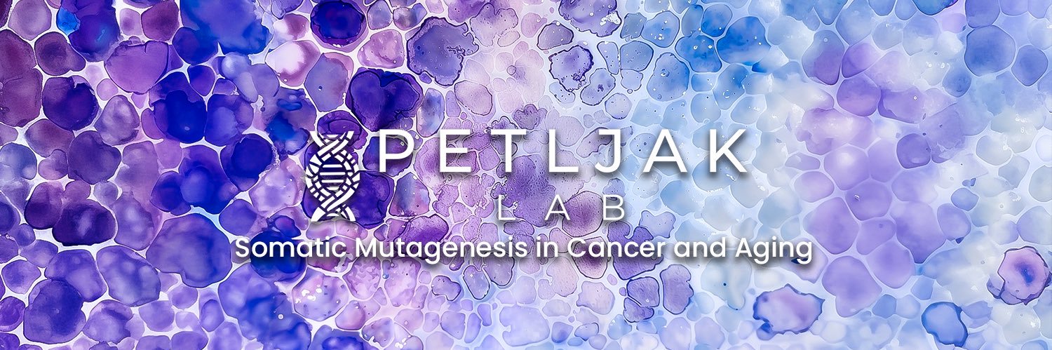 Mia Petljak's banner