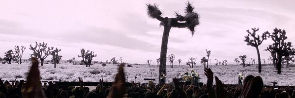 Shushu64 Profile Banner