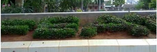 RNPrajapati11 Profile Banner