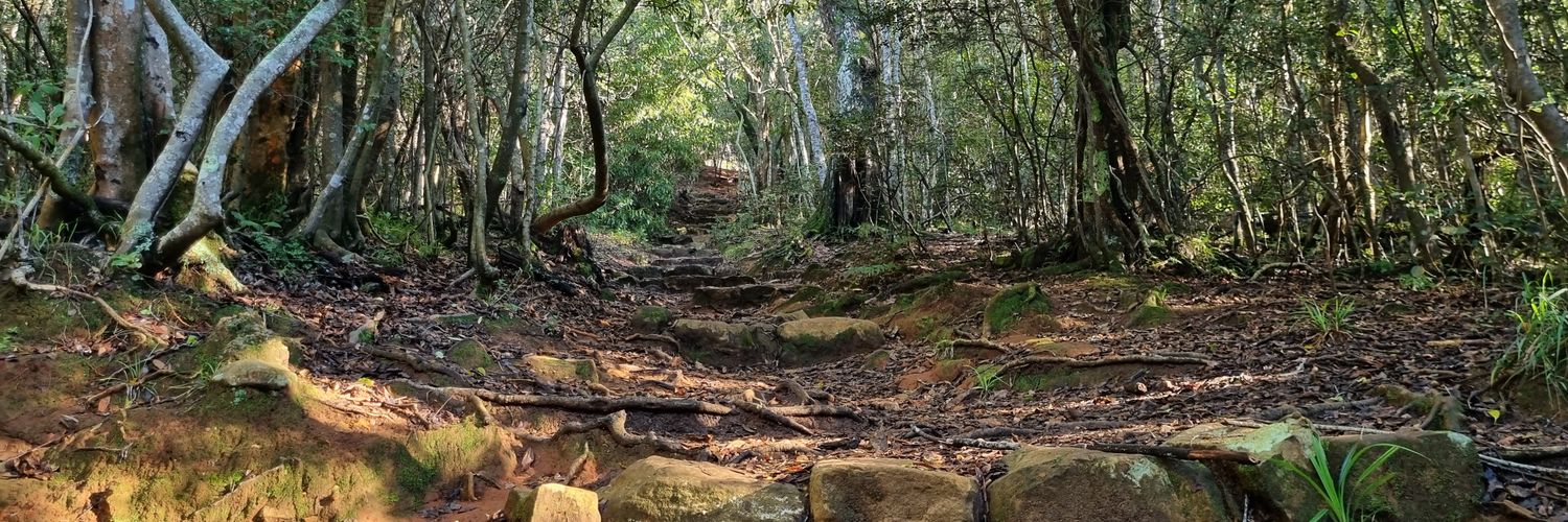 David Fick he/him banner