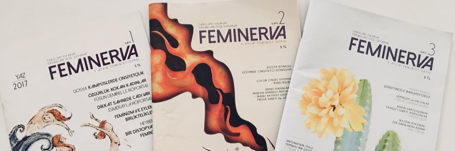 feminervadergi's profile banner image