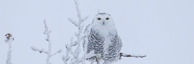 magicisafoot's profile banner image