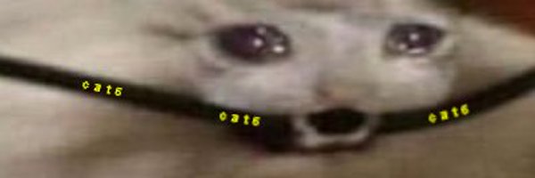 Thund3ri Profile Banner