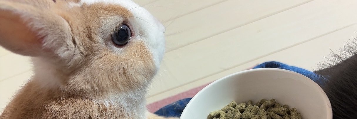 kyoka_91's profile banner image