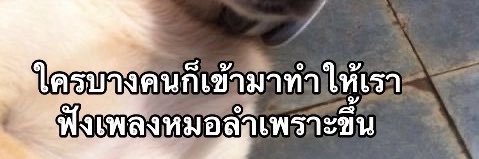 007 banner