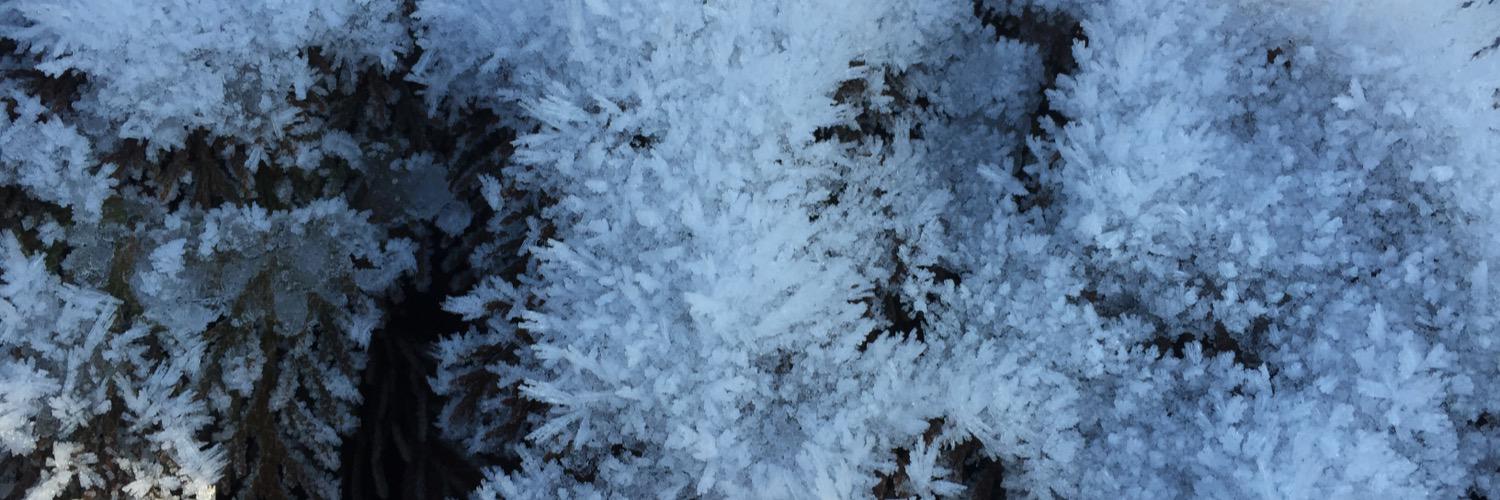 Beth Rowlands banner