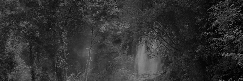 Marco Distinto banner