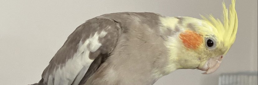 BarisArseven's profile banner image