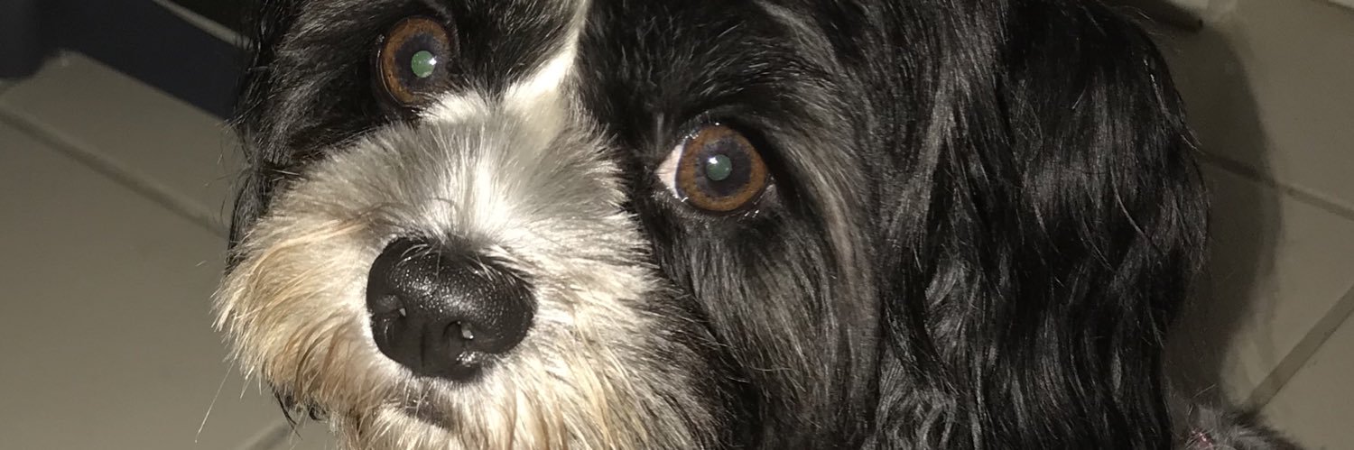 🇺🇦🌻🆘Donna&Lola banner