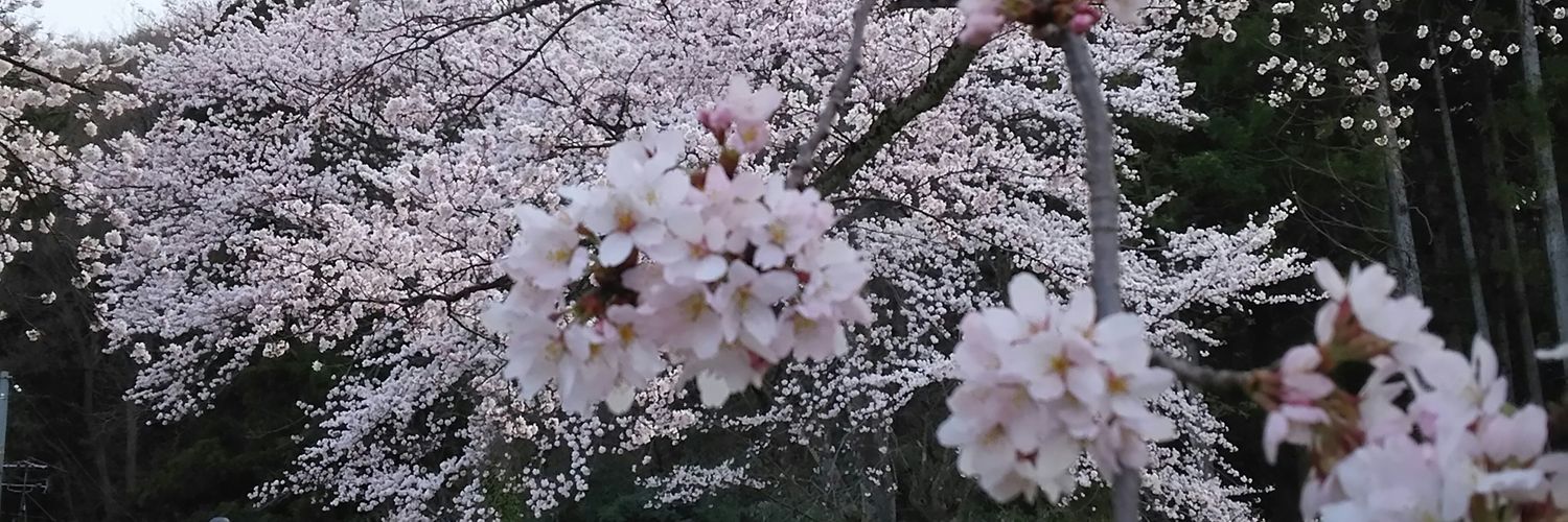 OldSira's profile banner image
