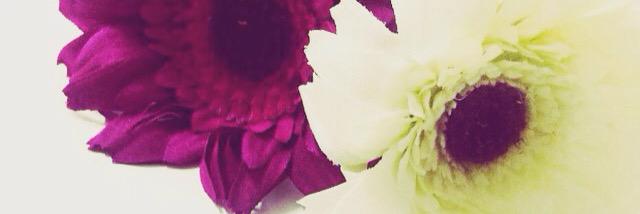 19_tooto's profile banner image