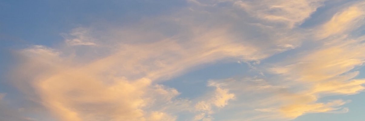 lolosbr's profile banner image