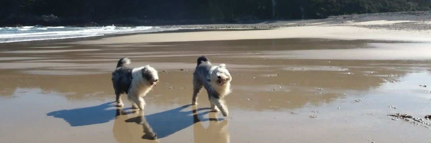 Carmen María banner