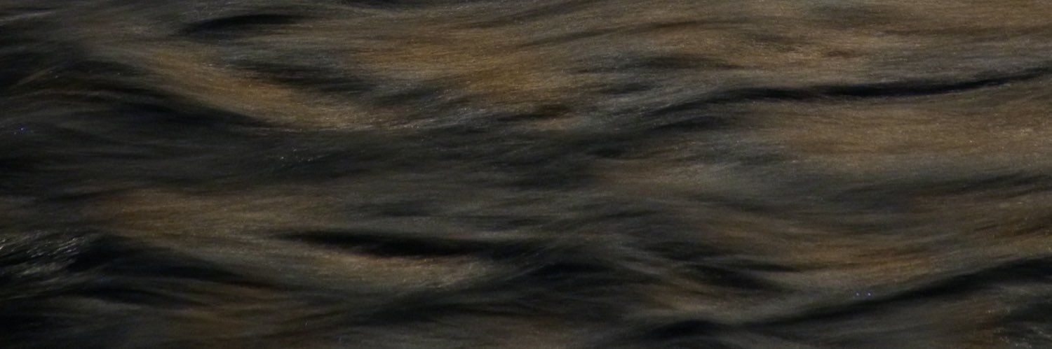 Ｓ Ｈ Ｏ Ｄ Ａ Ｉ banner