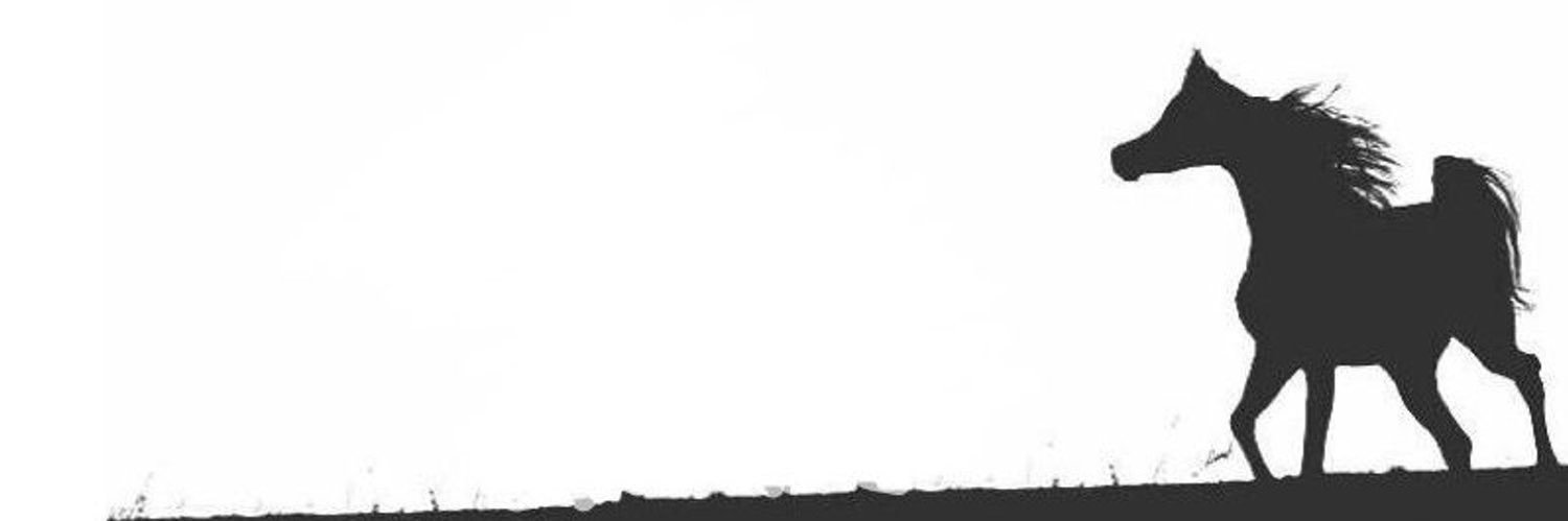 3 E E N | 🦩 banner
