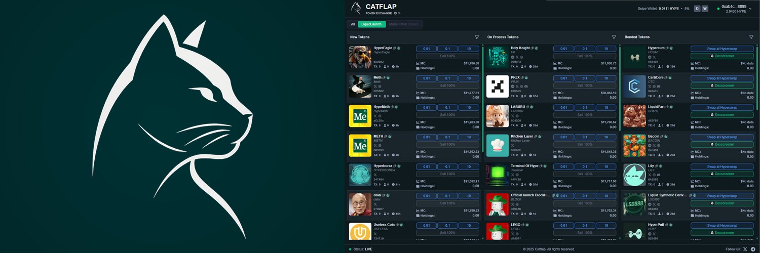 catflap_devvin's profile banner image