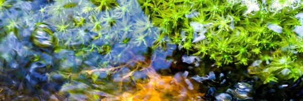 tpuustinen Profile Banner