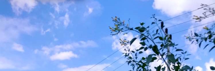 Amzeadd1's profile banner image