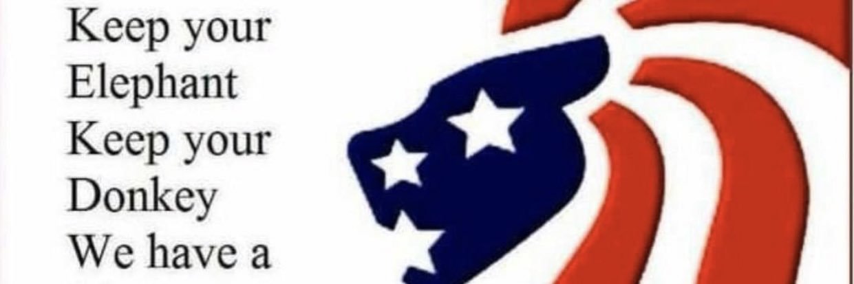 LevitinMargo's profile banner image