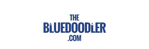Thebluedoodler Profile Banner