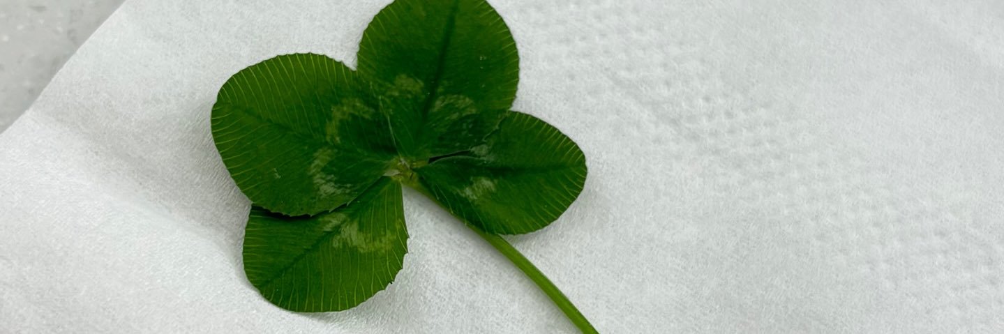 dearmy2731's profile banner image