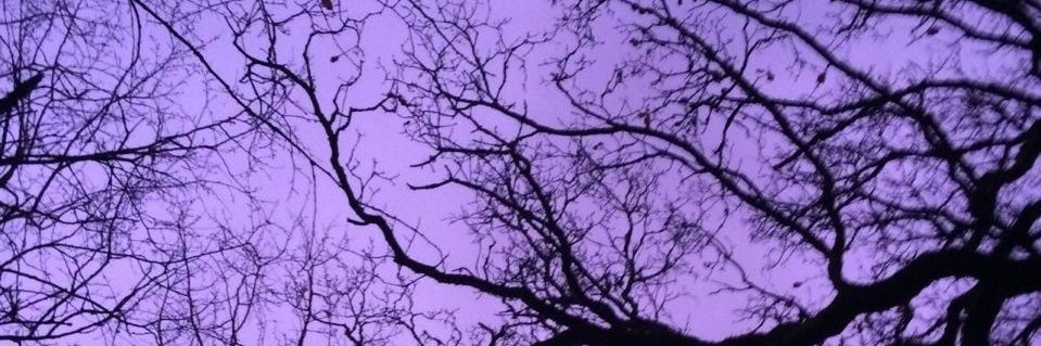 ElianoraRae's profile banner image
