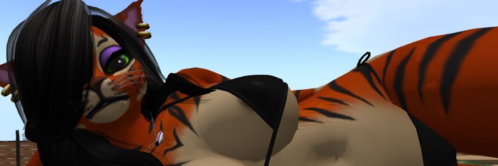 Yuri TigerPaws, solitary tiger banner