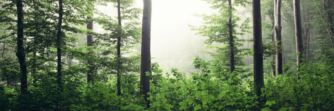 LifeIsGood200 banner