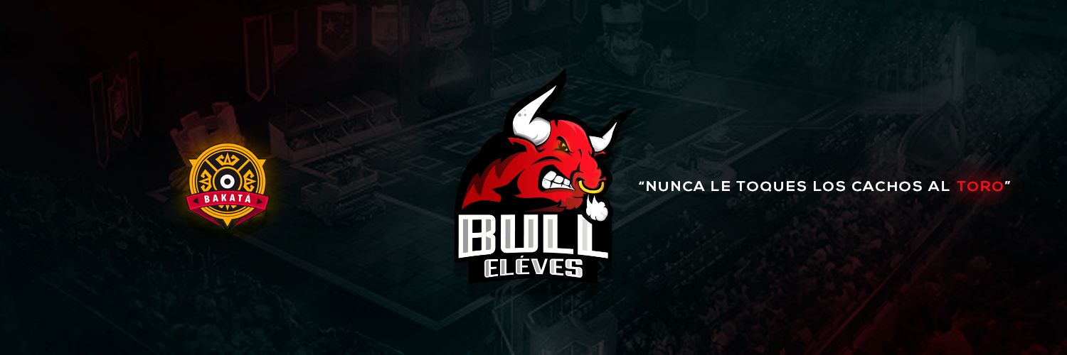 Bull Elèves banner