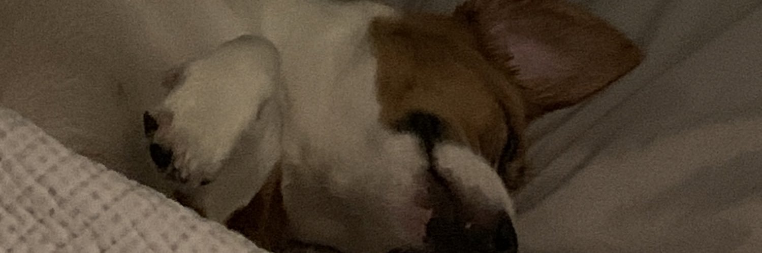 taina-fufubx banner