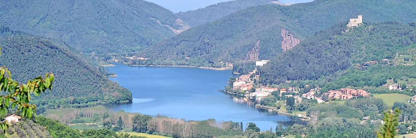 Terni4_lover's profile banner image