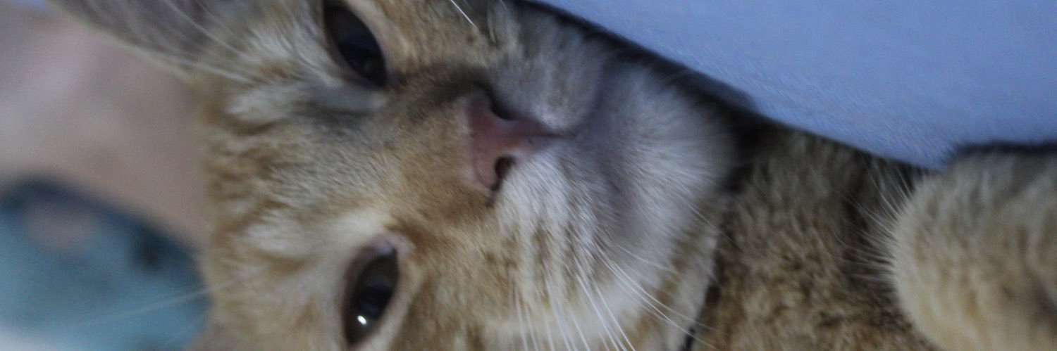 -A banner