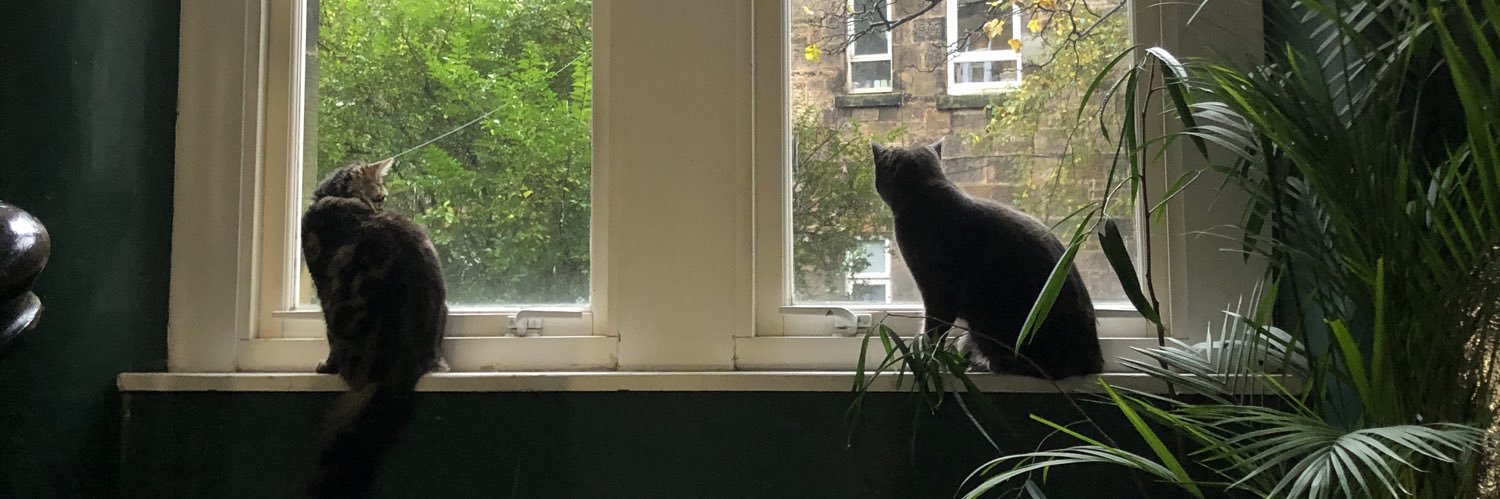 candiide_'s profile banner image