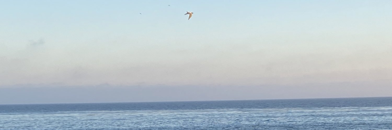 nancyambrizz's profile banner image