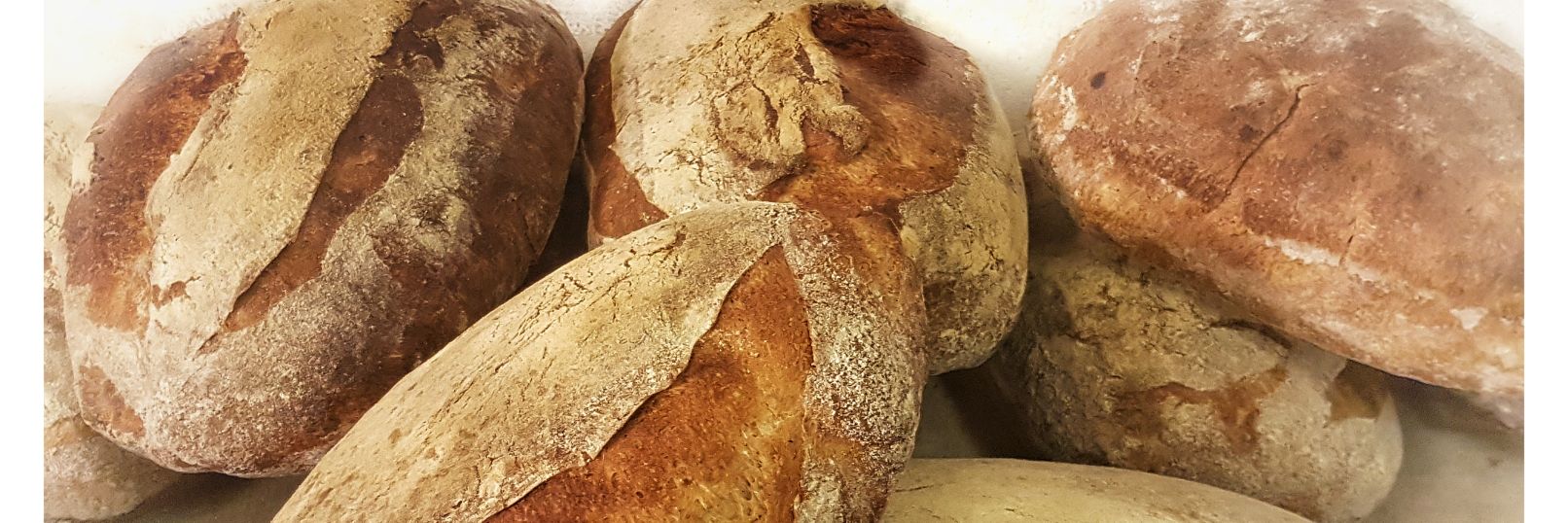 thetalbotbakery banner