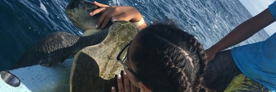 RamirezSamhara's profile banner image