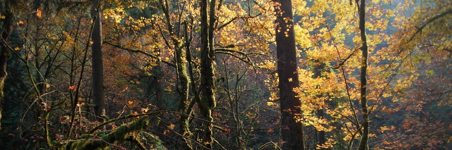 Jake_Yard's profile banner image